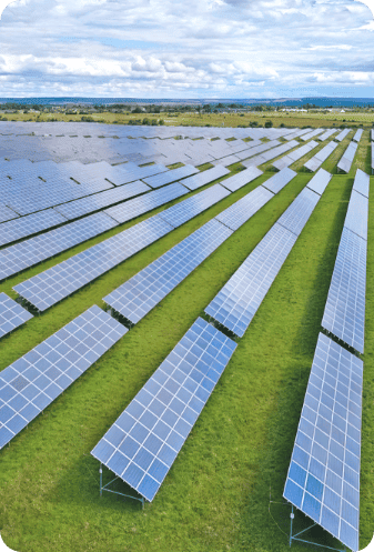 Solar panels in a solar farm for residential energy solutions.