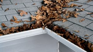 Leaves-On-Grey-Roofing-Shingles
