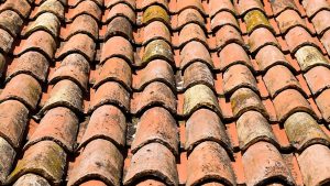 Orange-Roofing-Shingles