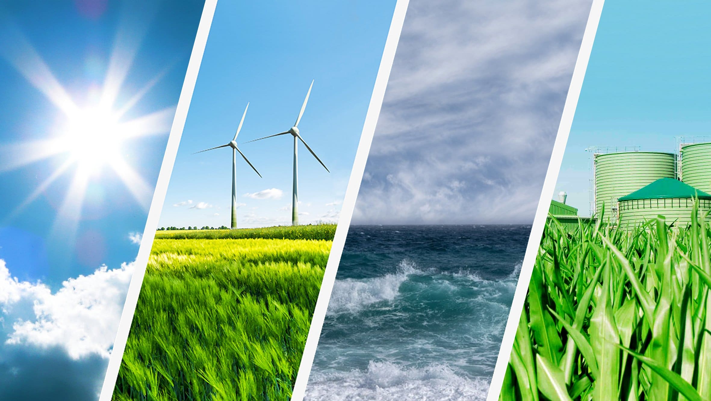 Compare renewable and nonrenewable resources