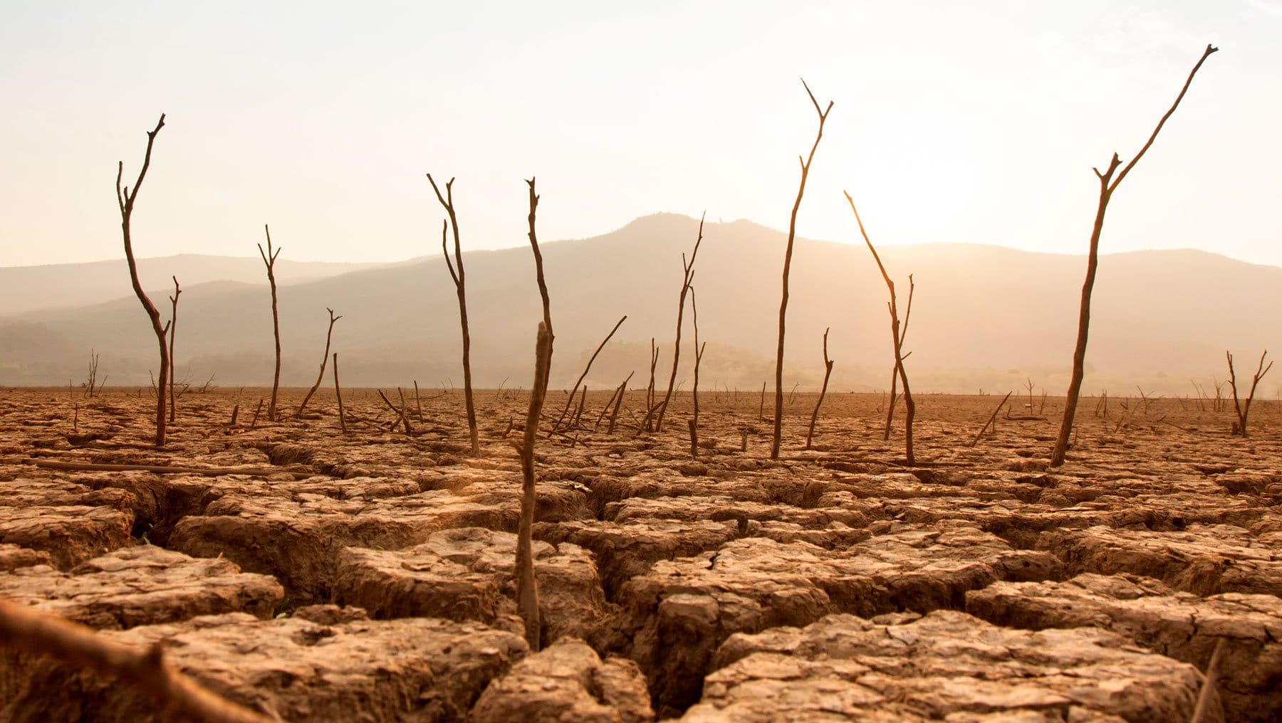 Desert