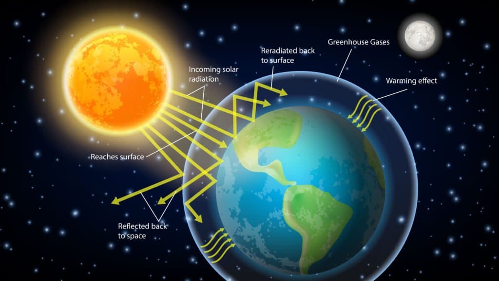 The-Globe-And-The-Sun