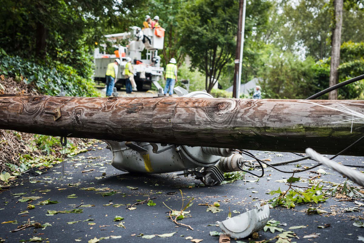 Fallen-Tree-On-The-Road