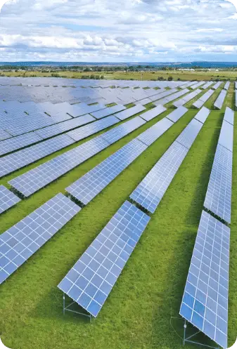 Solar panels in a solar farm for residential energy solutions.