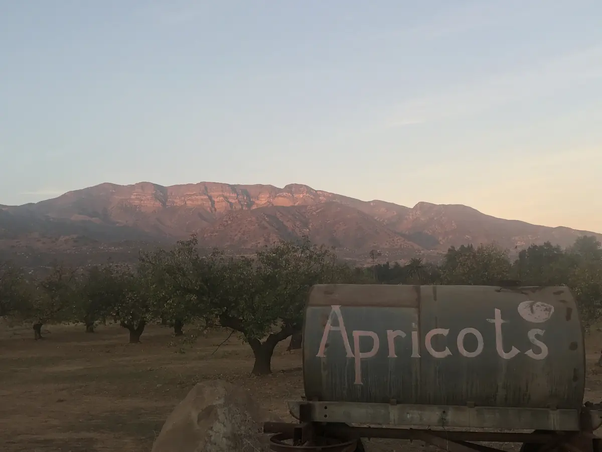 The Topa Topa bluffs at sunset from Upper Ojai
